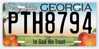 GA license plate PTH8794