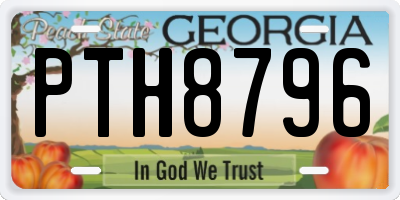 GA license plate PTH8796