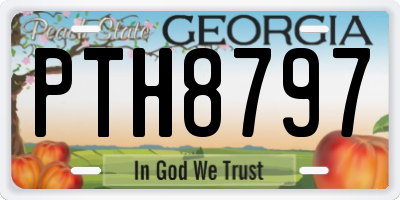 GA license plate PTH8797