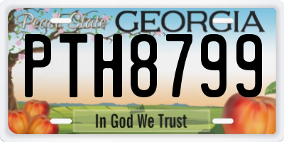 GA license plate PTH8799