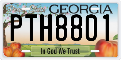 GA license plate PTH8801
