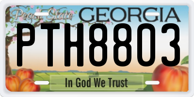GA license plate PTH8803