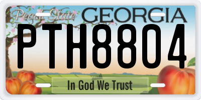 GA license plate PTH8804