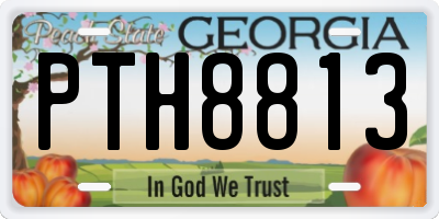 GA license plate PTH8813