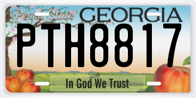 GA license plate PTH8817