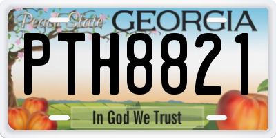 GA license plate PTH8821