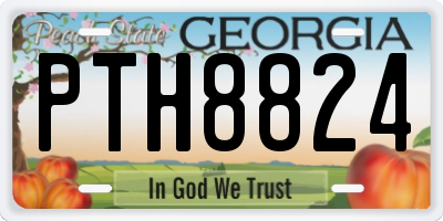 GA license plate PTH8824