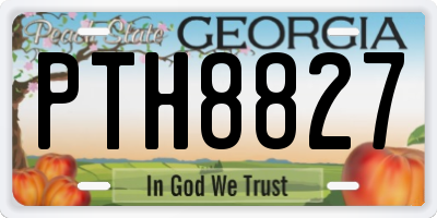 GA license plate PTH8827