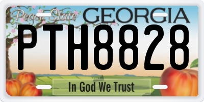 GA license plate PTH8828