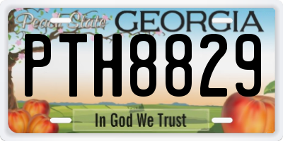 GA license plate PTH8829