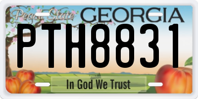 GA license plate PTH8831