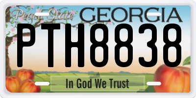 GA license plate PTH8838