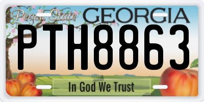 GA license plate PTH8863