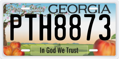 GA license plate PTH8873
