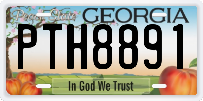 GA license plate PTH8891