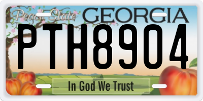 GA license plate PTH8904