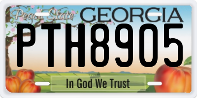 GA license plate PTH8905