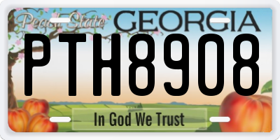 GA license plate PTH8908