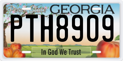 GA license plate PTH8909
