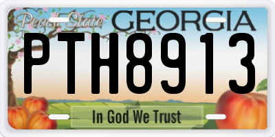 GA license plate PTH8913