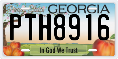 GA license plate PTH8916