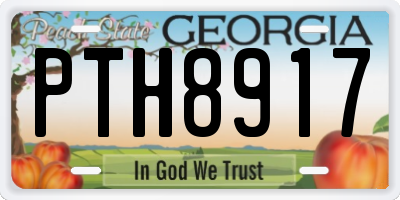 GA license plate PTH8917