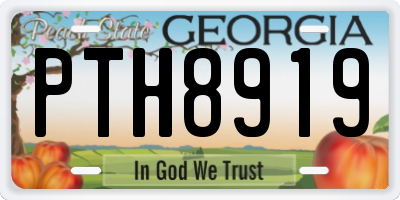 GA license plate PTH8919