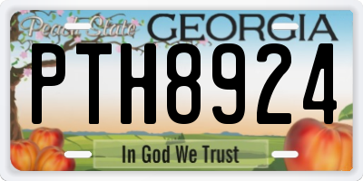 GA license plate PTH8924