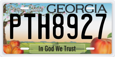 GA license plate PTH8927