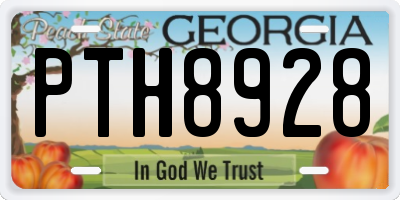 GA license plate PTH8928