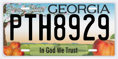 GA license plate PTH8929