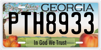GA license plate PTH8933