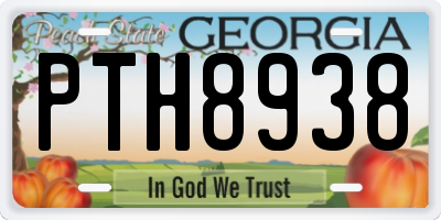GA license plate PTH8938