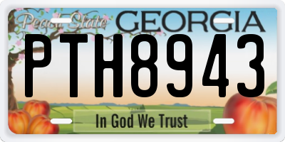 GA license plate PTH8943
