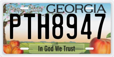 GA license plate PTH8947