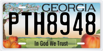 GA license plate PTH8948