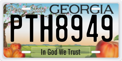 GA license plate PTH8949