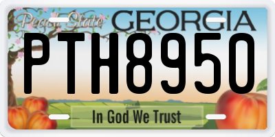 GA license plate PTH8950