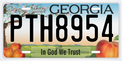 GA license plate PTH8954