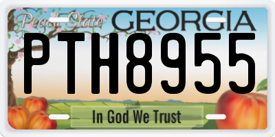 GA license plate PTH8955