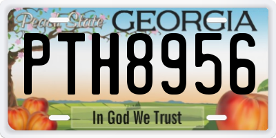 GA license plate PTH8956