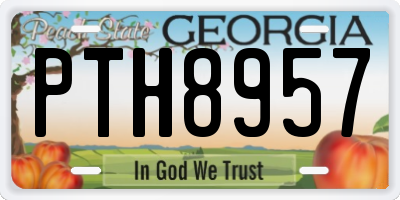 GA license plate PTH8957