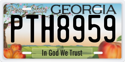 GA license plate PTH8959