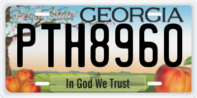 GA license plate PTH8960