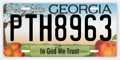 GA license plate PTH8963