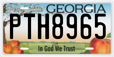 GA license plate PTH8965