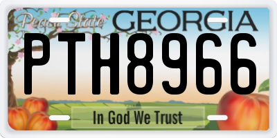 GA license plate PTH8966