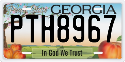 GA license plate PTH8967