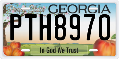 GA license plate PTH8970