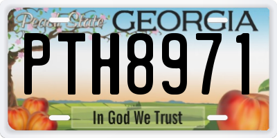 GA license plate PTH8971